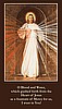 Divine Mercy  Prayer Card